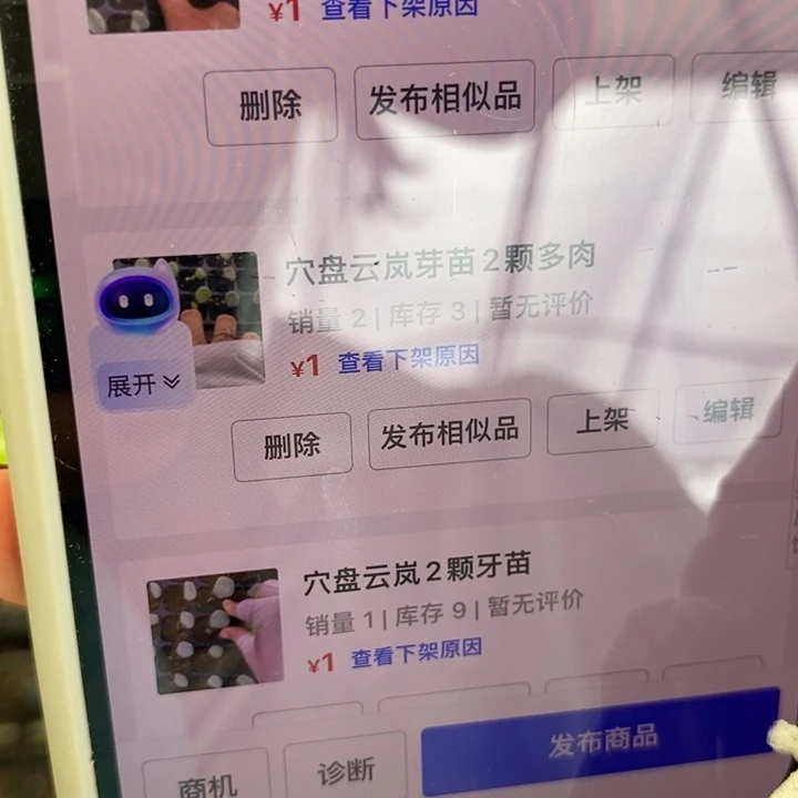 云岚芽苗2个多肉量拍