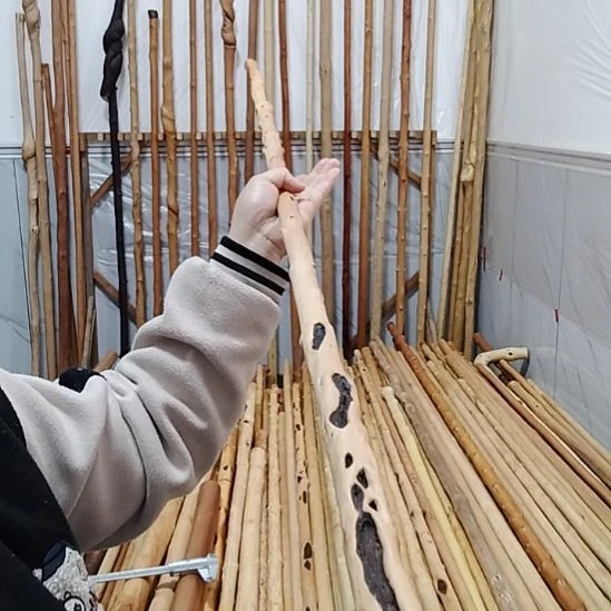 牛筋木残疤棍一物一拍
