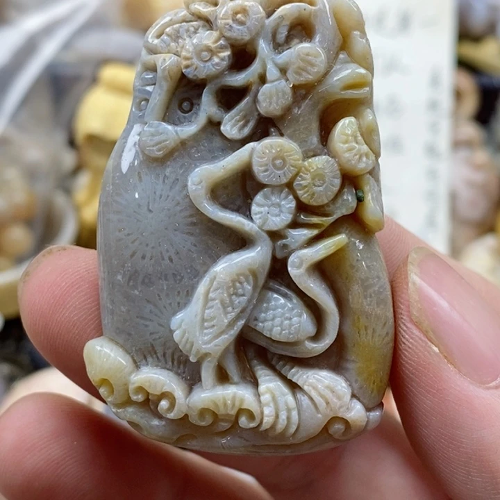 颈饰未镶嵌硅化珊瑚（珊瑚玉）