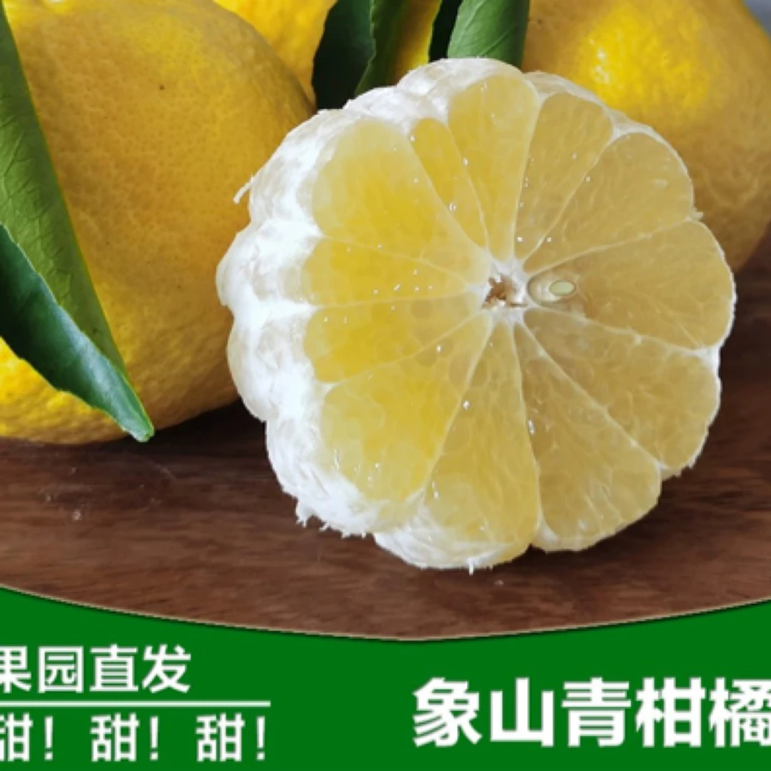 象山青/黄金贡柚/春香精品产品新鲜直发好吃食用【4.8斤】顺丰包赔