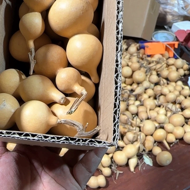 炫*葫芦处理葫芦画皮