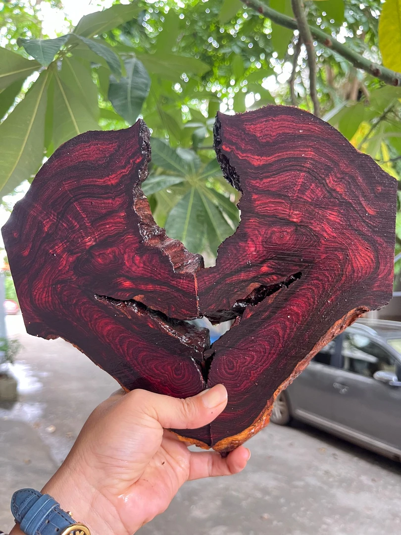 海南黄花梨瘤疤水波对眼蜘蛛