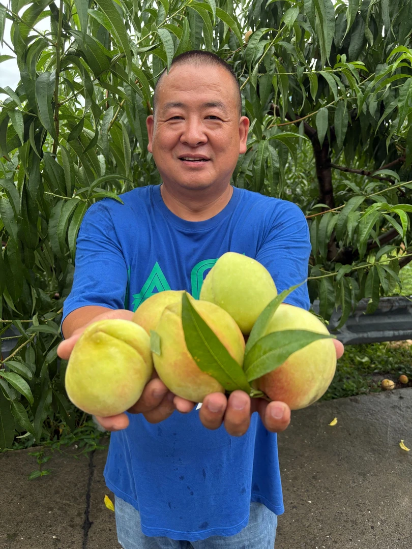 湖北恩施  清江红心脆蜜桃