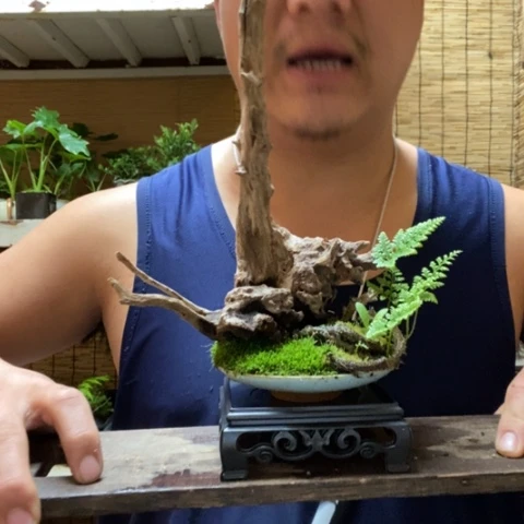 红陶二*一物一拍所见即所得307