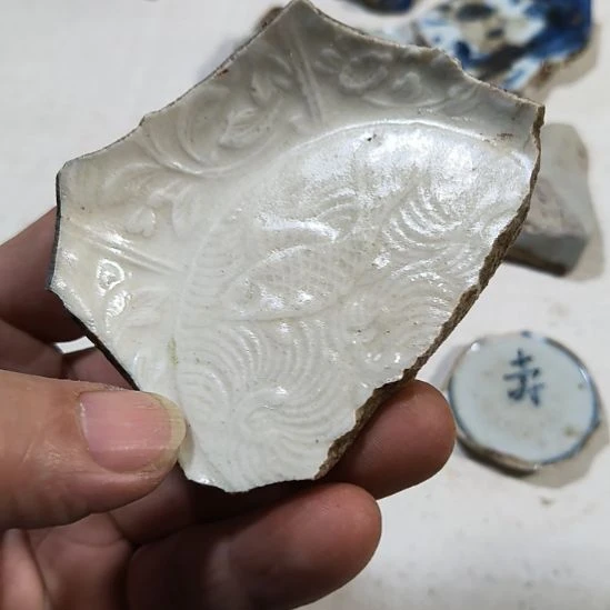 瓷片瓷片瓷片瓷片瓷片