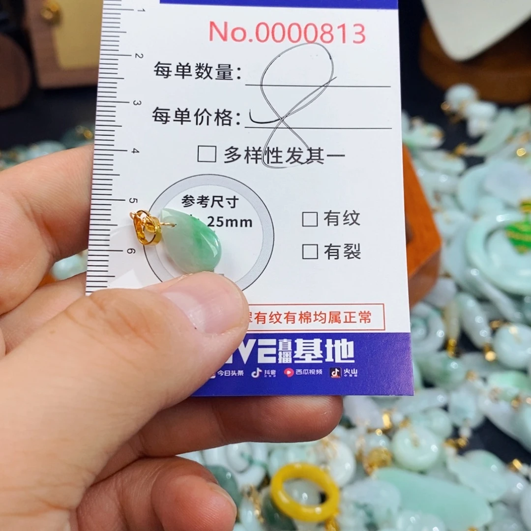 翡翠未镶嵌颈饰813