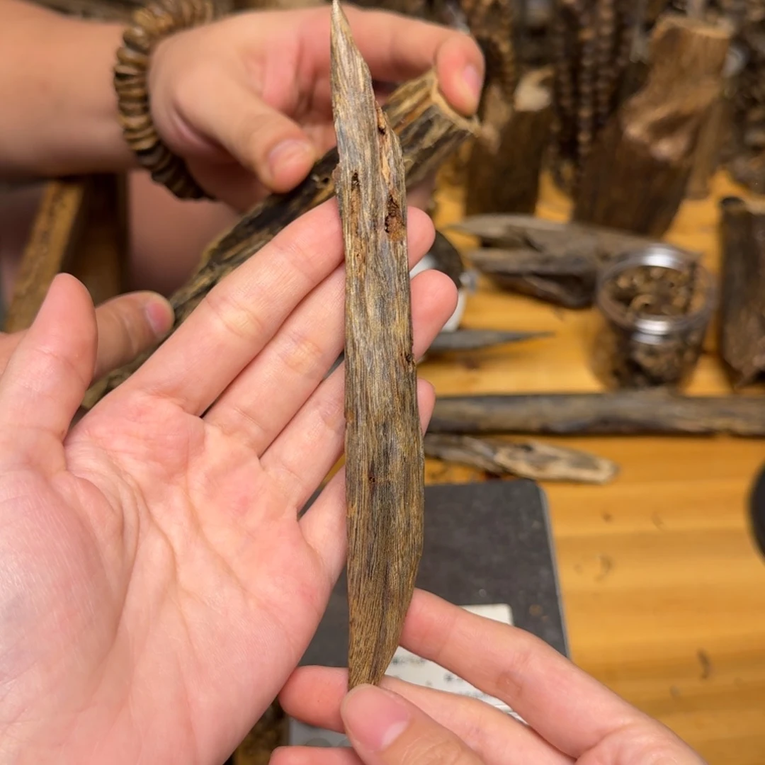 沉香碎屑沉香陆河天然虫漏块料10克