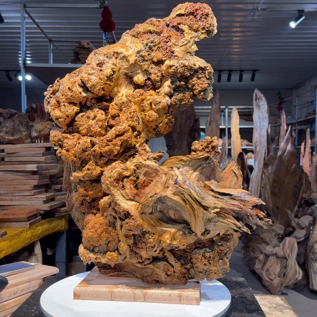 木贤*王一刀琥珀木47