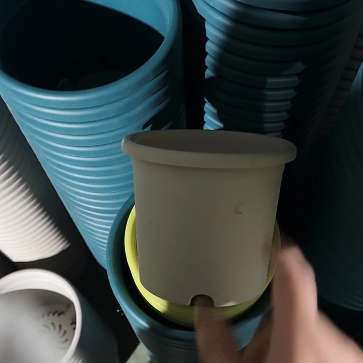 四季1号灰白无托20个