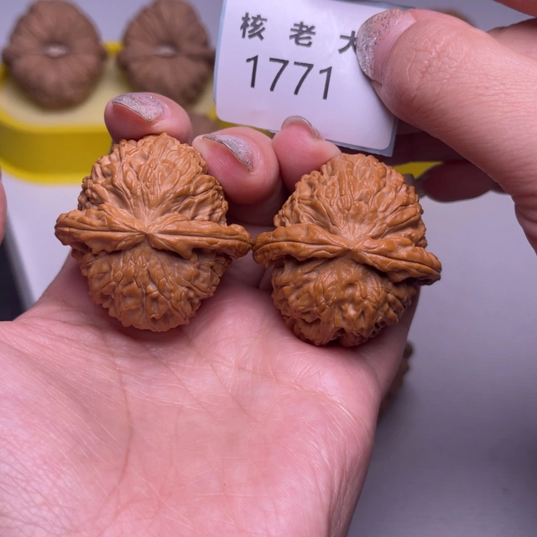 把件文玩核桃白狮子39.1771