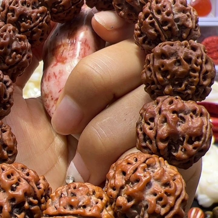 大果紫檀（缅甸花梨）大黑丫丫