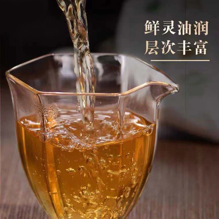 凰馨 2022君心可鉴357克生茶 古树头春生茶