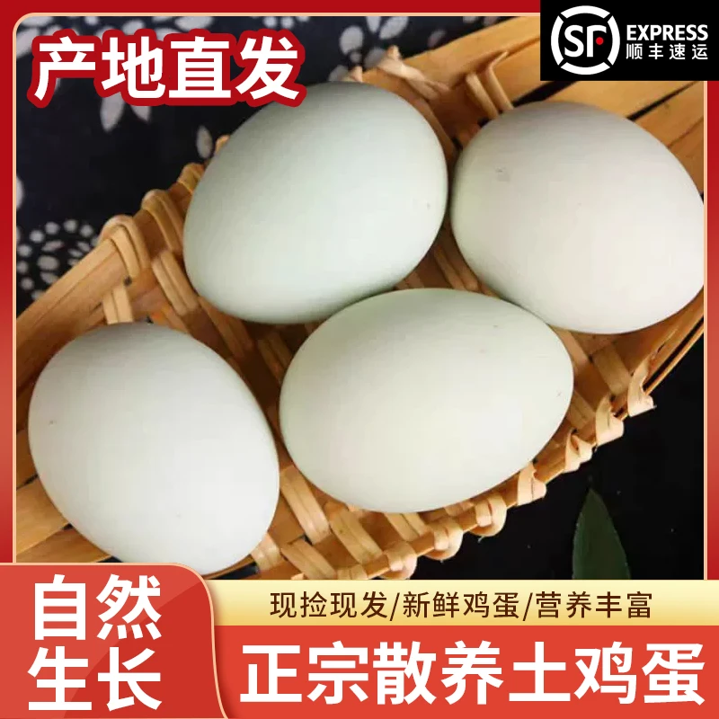【绿壳散养土鸡蛋】40枚山林散养新鲜土鸡蛋山林纯五谷喂养