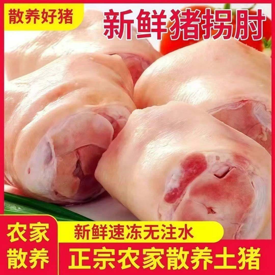 【发五斤】蹄膀拐骨猪脚圈二肘猪小蹄髈猪拐肘