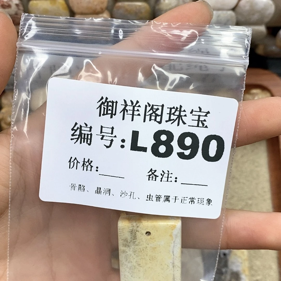 硅化珊瑚（珊瑚玉）L未镶嵌元*