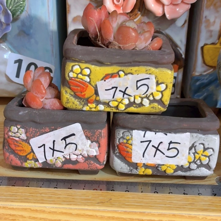 多肉花盆满15包邮