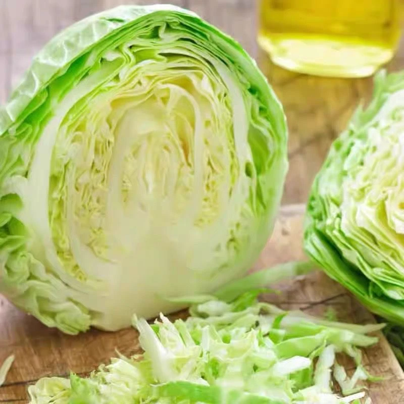 现砍现发 山东新鲜水果甘蓝包菜（5斤）脆嫩爽口