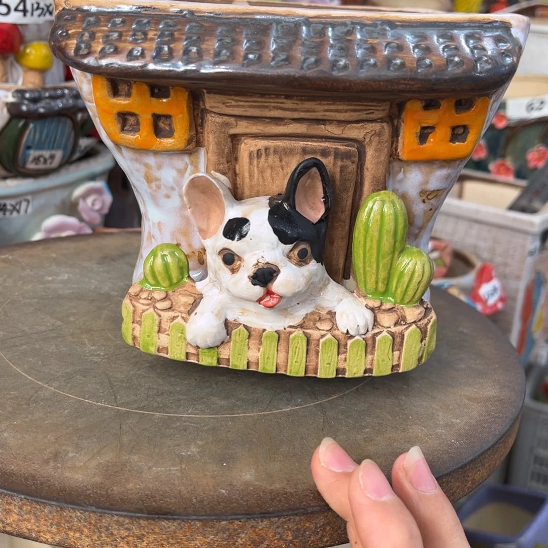 凑满15包邮发货发货