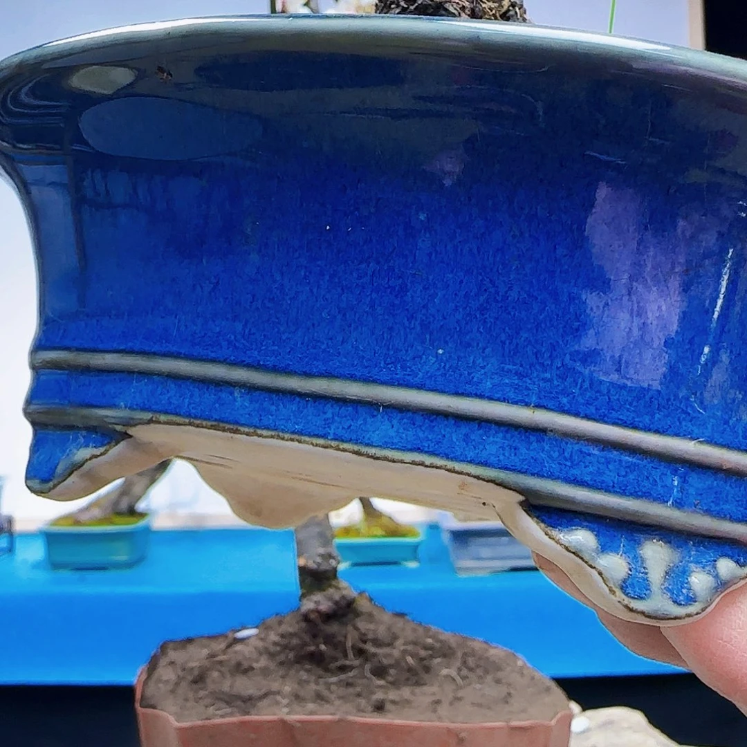 红陶厦****王x c b k l l