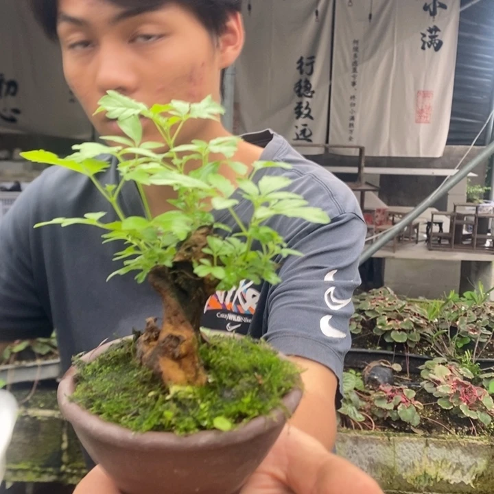 浅*一物一拍所见即所得175