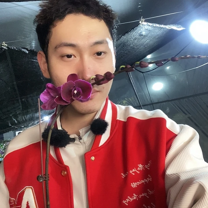 无花朵双星光芒返祖