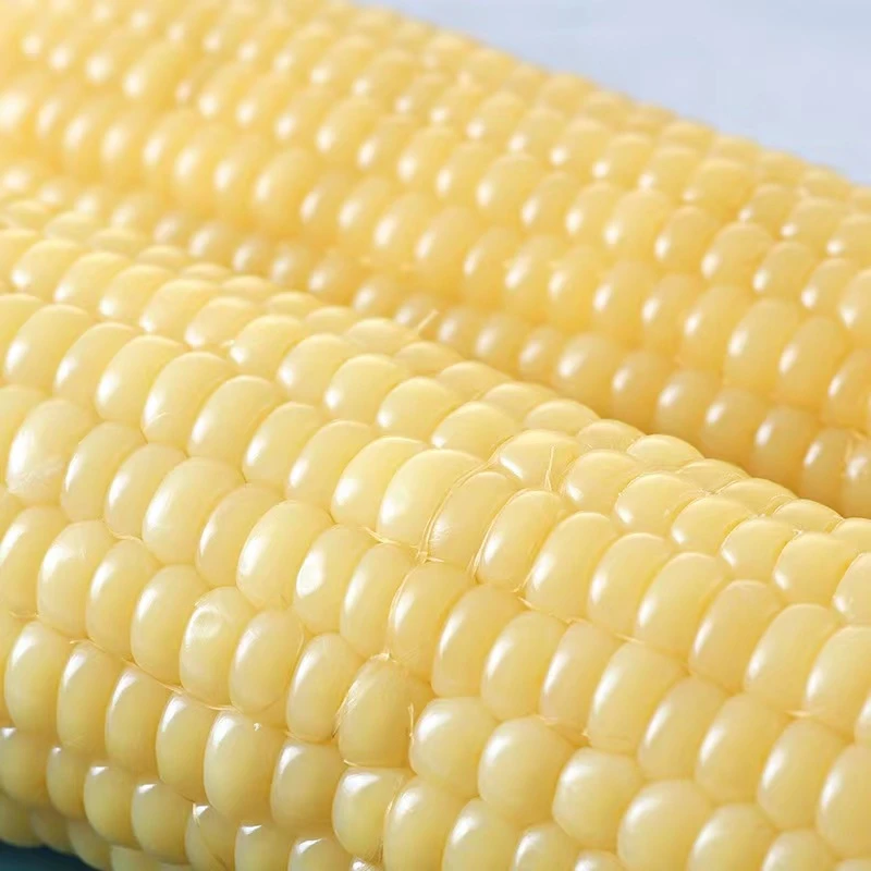 【整箱7斤】东北白糯玉米真空锁鲜软糯香甜11根一整箱