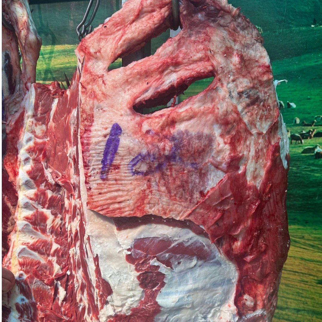 现称现改价链接（塔城现宰小公牛）