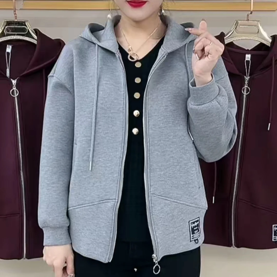 <专柜品质>连帽拉链小标卫衣外套