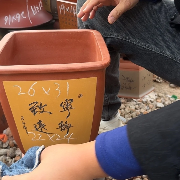 紫砂花盆紫砂花盆