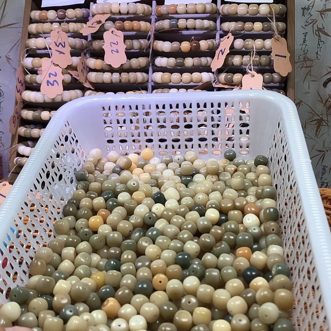 吊坠菩提根/象牙果