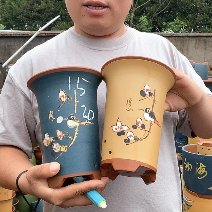 紫砂花盆盆栽植物