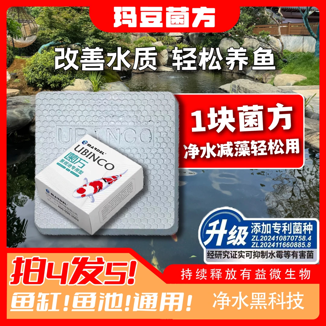 玛豆菌方锦鲤池家用鱼缸菌砖硝化细菌抑藻净水质