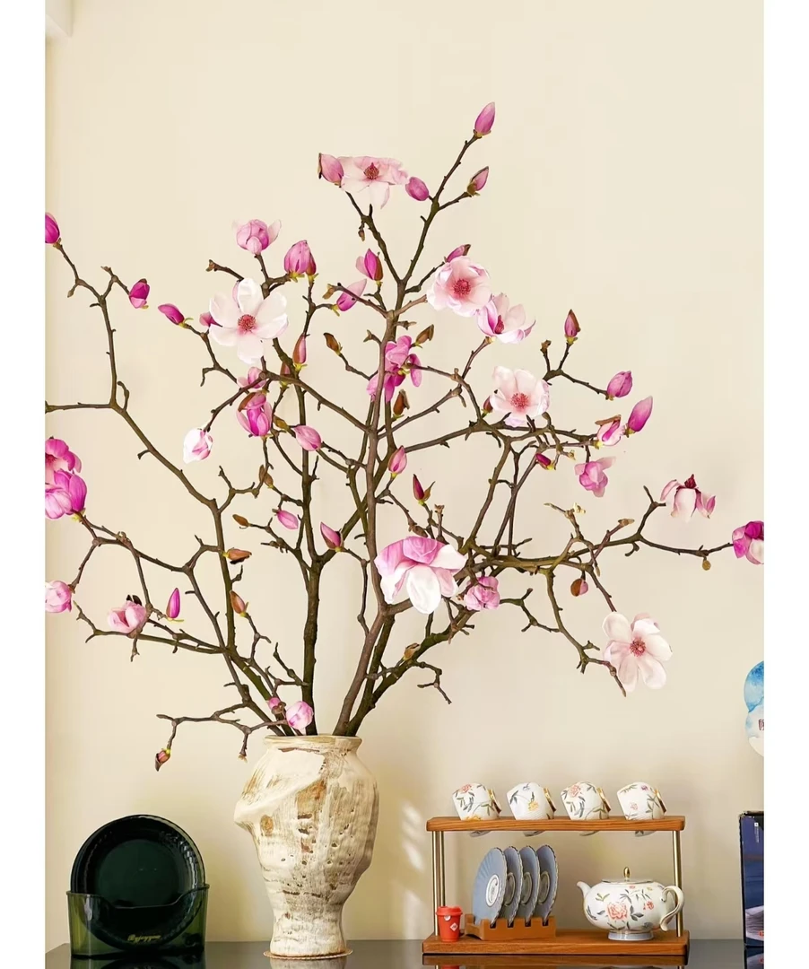 玉兰居家氛围感鲜切花材