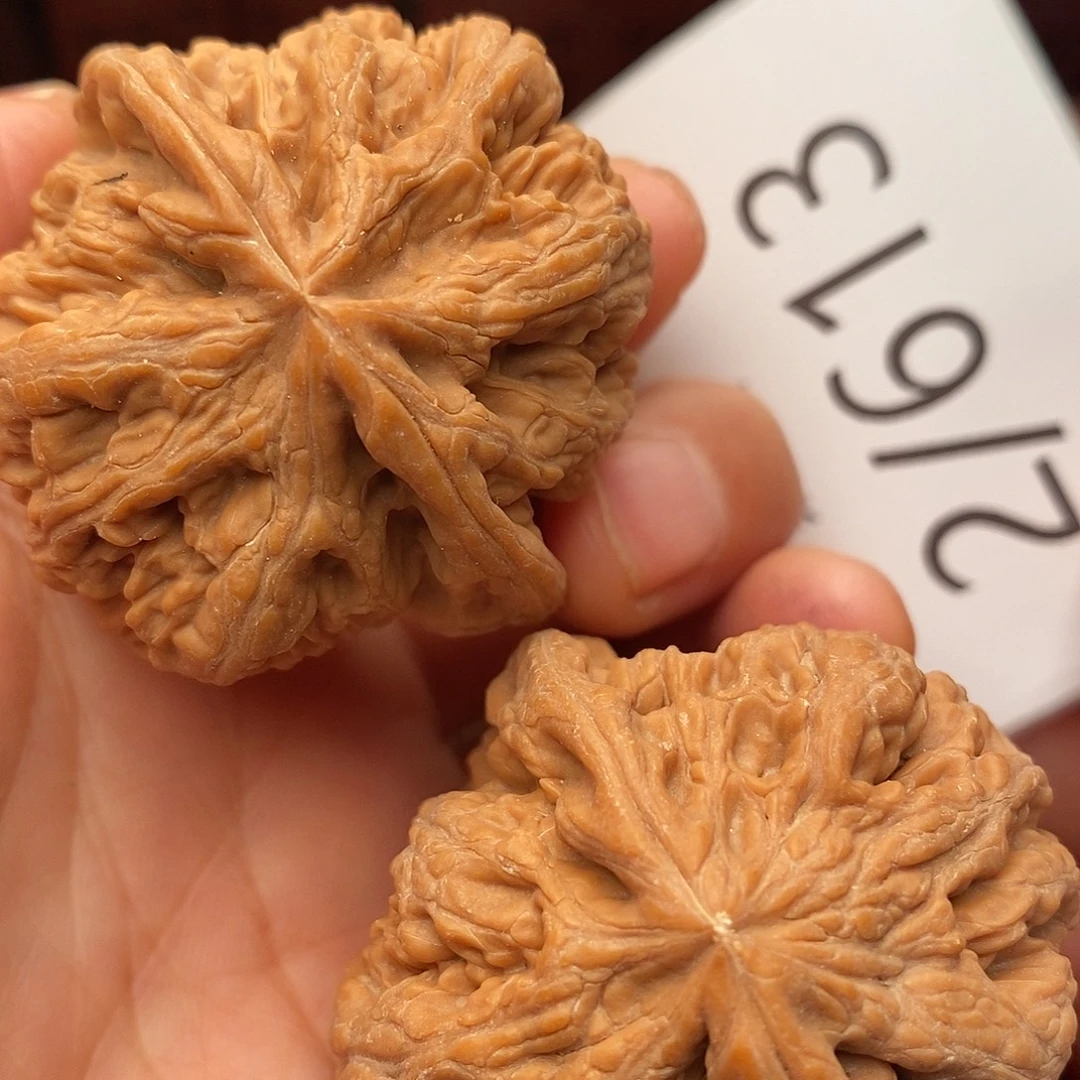 把件文玩核桃43粗筋