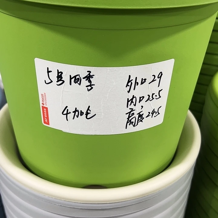 特价5号四季口29高24白色无托5只