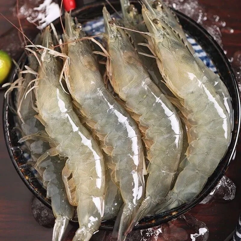 大海水虾海洋大虾单冻只只分离新鲜活虾速冻原盒5斤14-18顺丰冷链