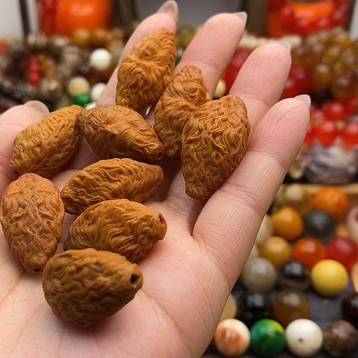 大果紫檀（缅甸花梨）