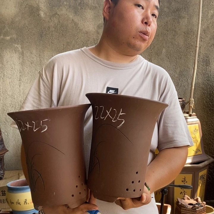 紫砂花盆盆栽花卉苗木种植
