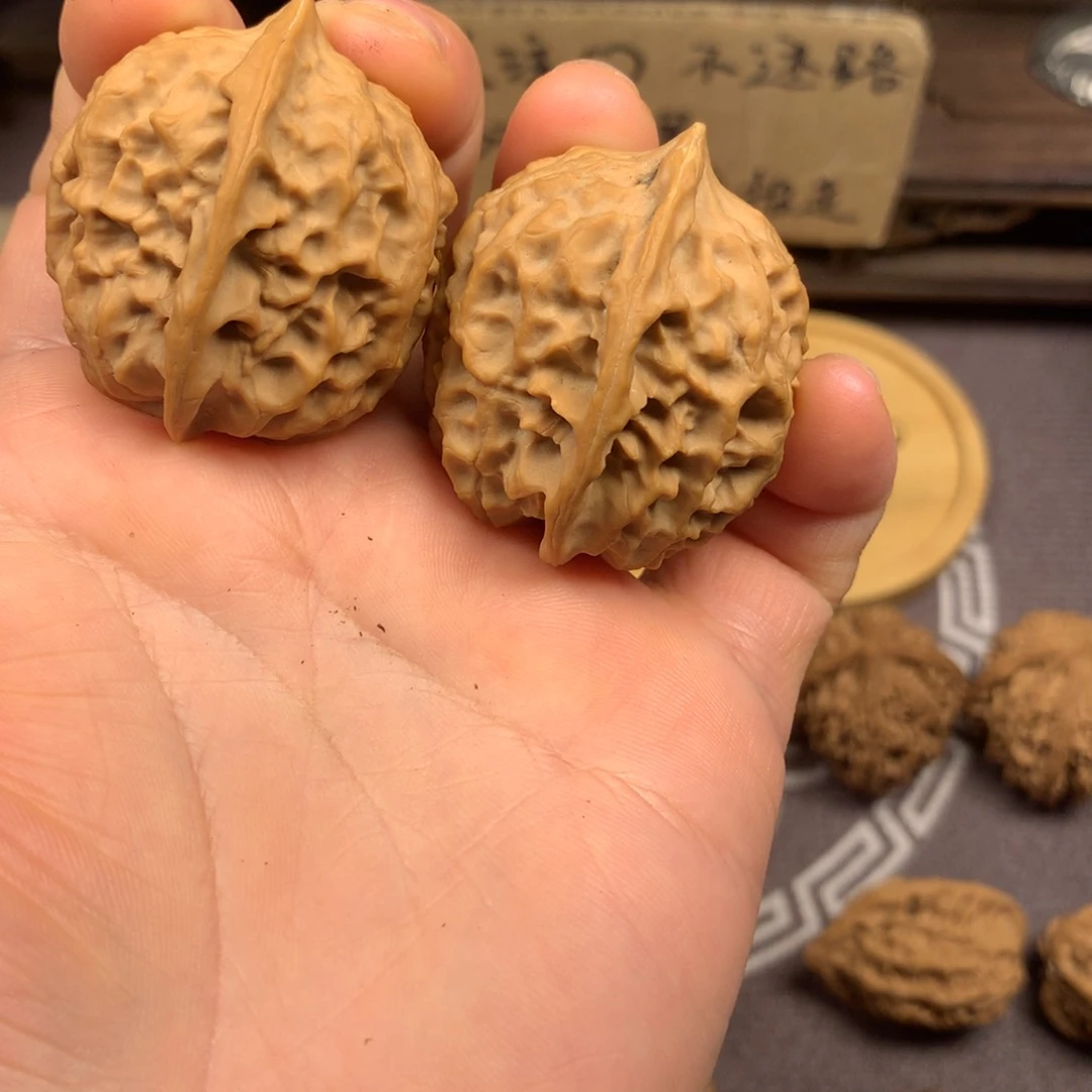 西*许秦岭山脉和青山带组成了