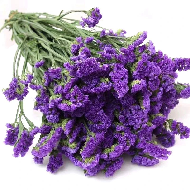 勿忘我自然风干干花永生花全干花鲜花母亲节礼物