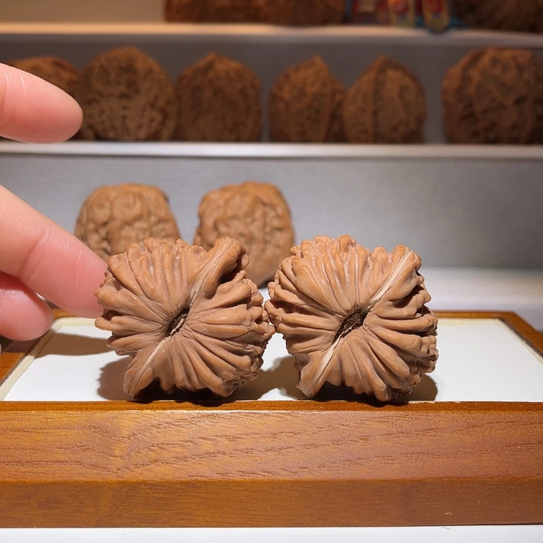 39汉高楼，菊花底漂亮