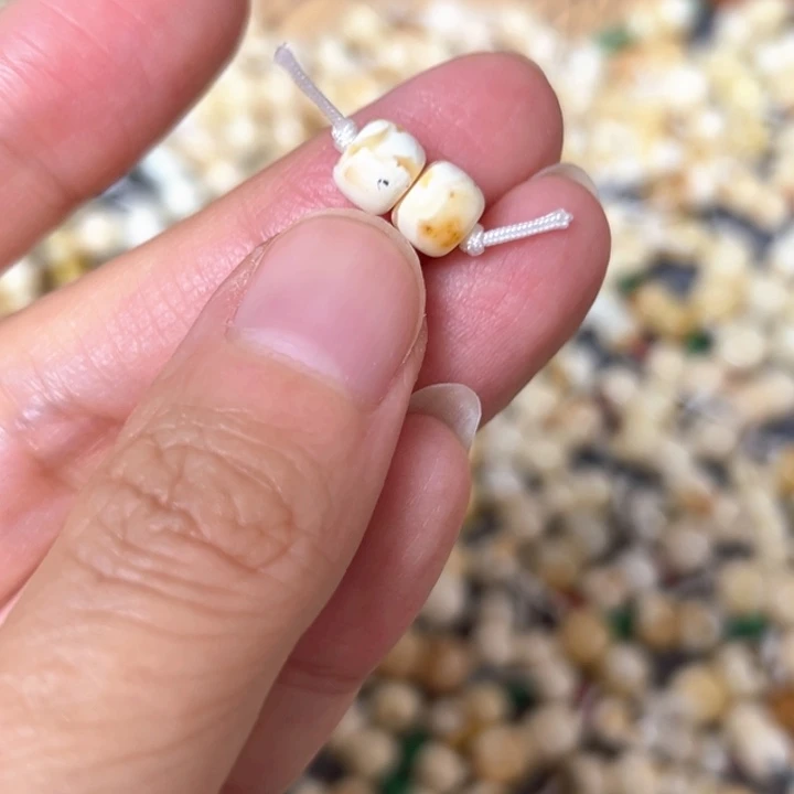 裸石蜜蜡未镶嵌6.4mm一对