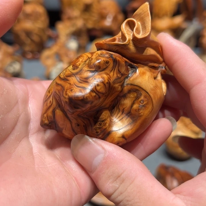 柏木（崖柏）点点关注