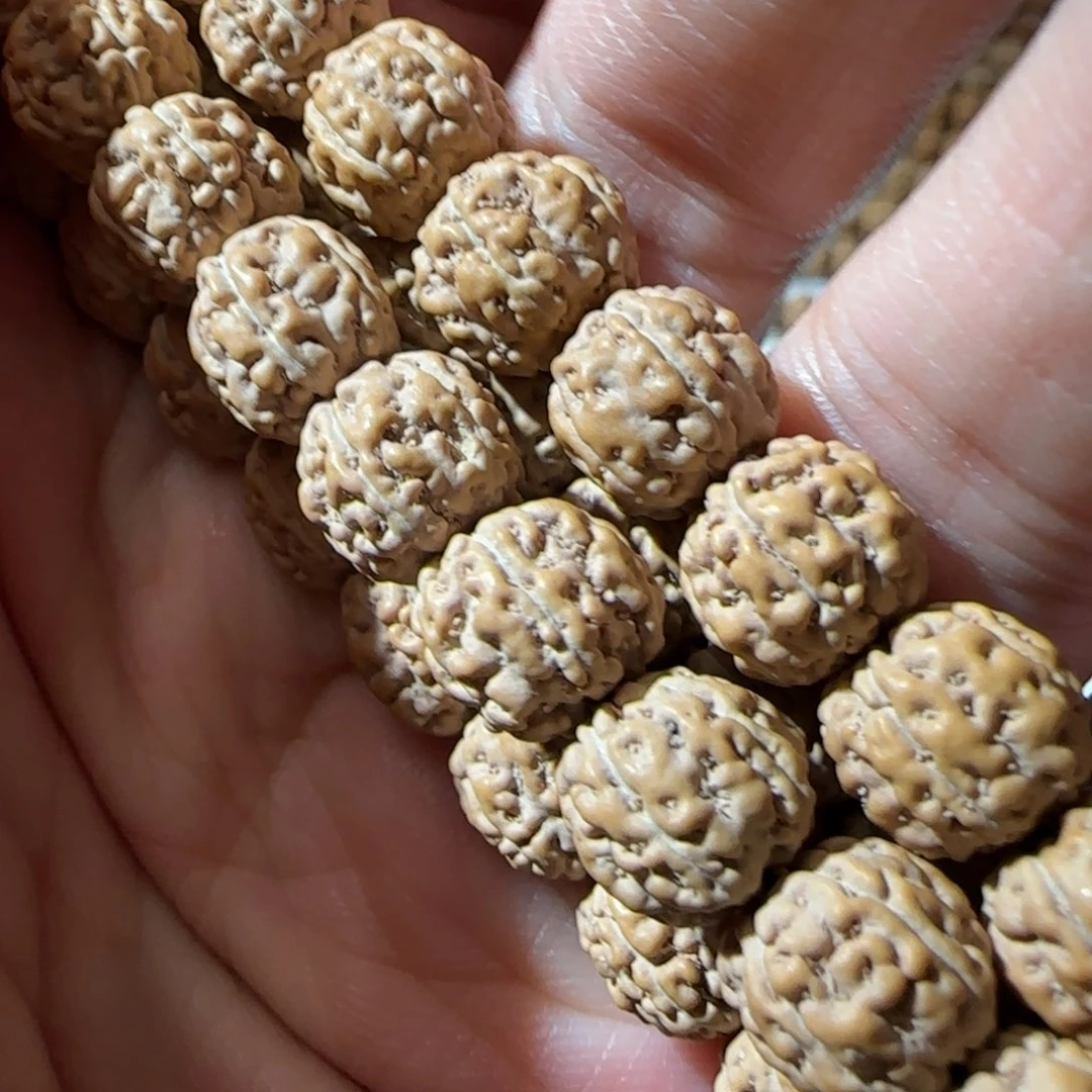 金刚菩提手串原籽一代盘龙108