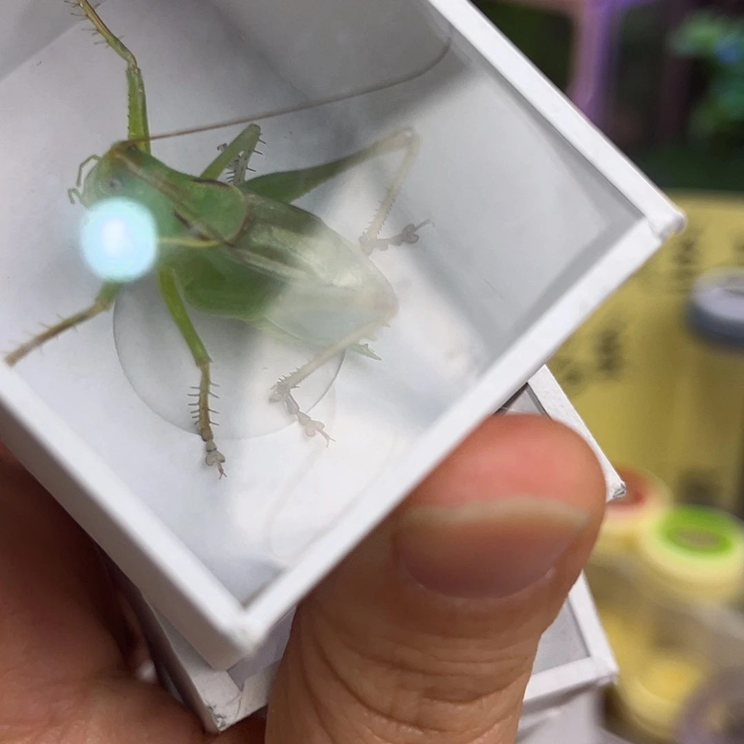 一***人扎嘴哈哈哈哈哈哈哈