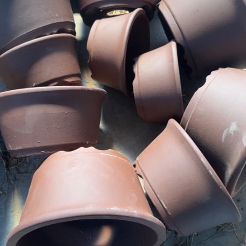 紫砂花盆100-12。100-12