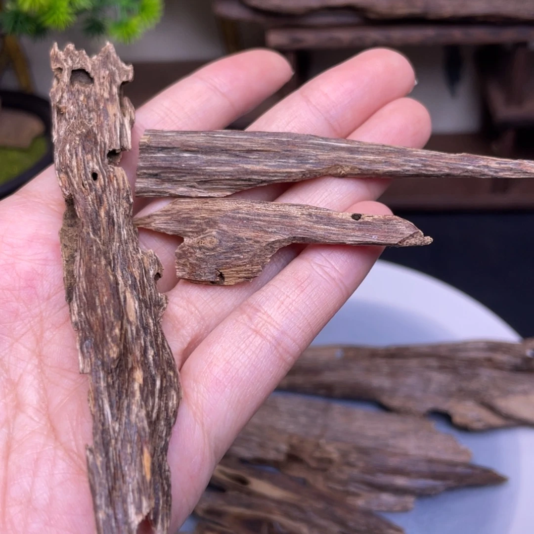 5克海南临高黑油虫漏