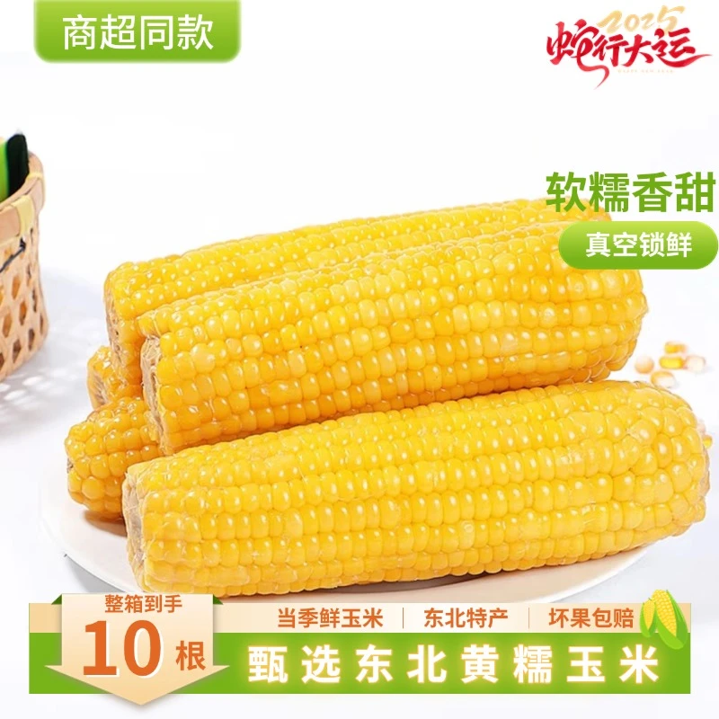 东北甄选黄糯玉米10根甜糯玉米棒东方娟子甄选营养粗粮真空包装