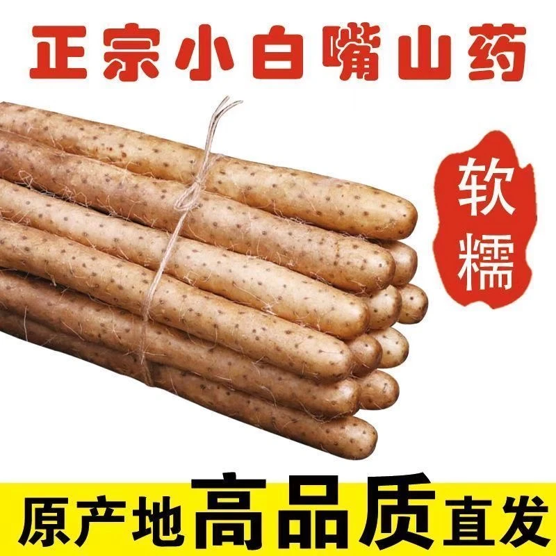 蠡县正宗新鲜小白嘴铁棍山药山药软糯香甜！产地直发