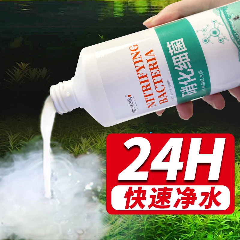 优选硝化活菌高活性活菌去除氨氮净水除异味打造空气缸鱼缸鱼池用